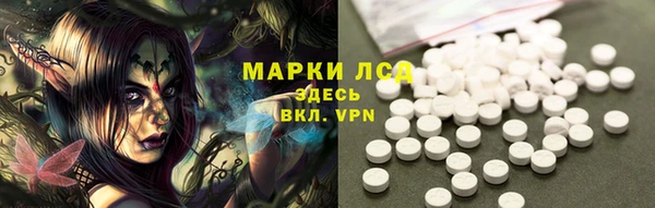ECSTASY Липки